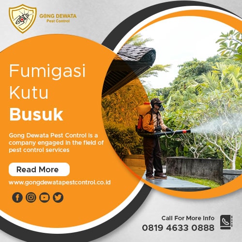 Fumigasi kutu busuk