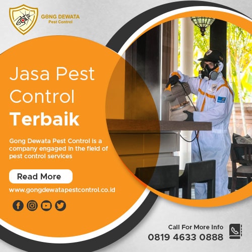 Jasa pest control terbaik