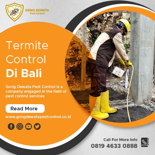 Termite control terpercaya bali